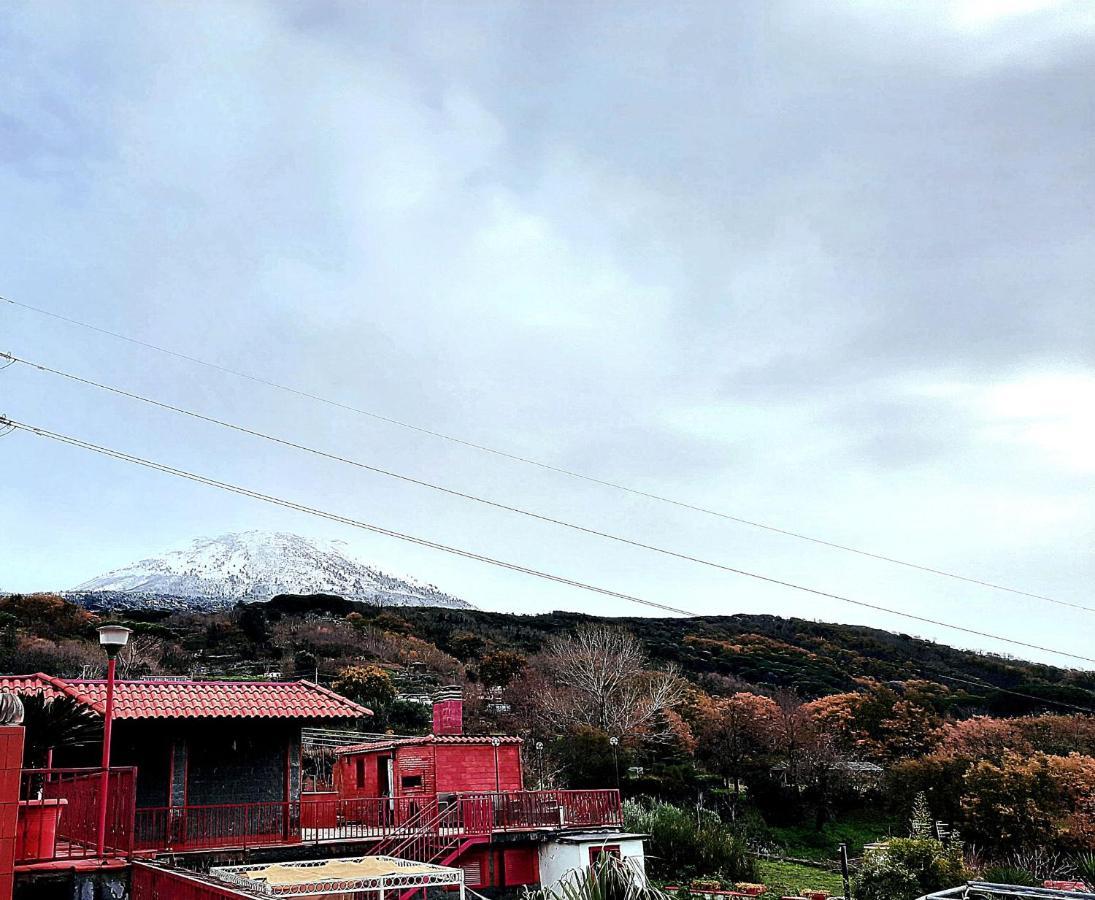 B&B Ioli Vesuvio 埃尔科拉诺 外观 照片