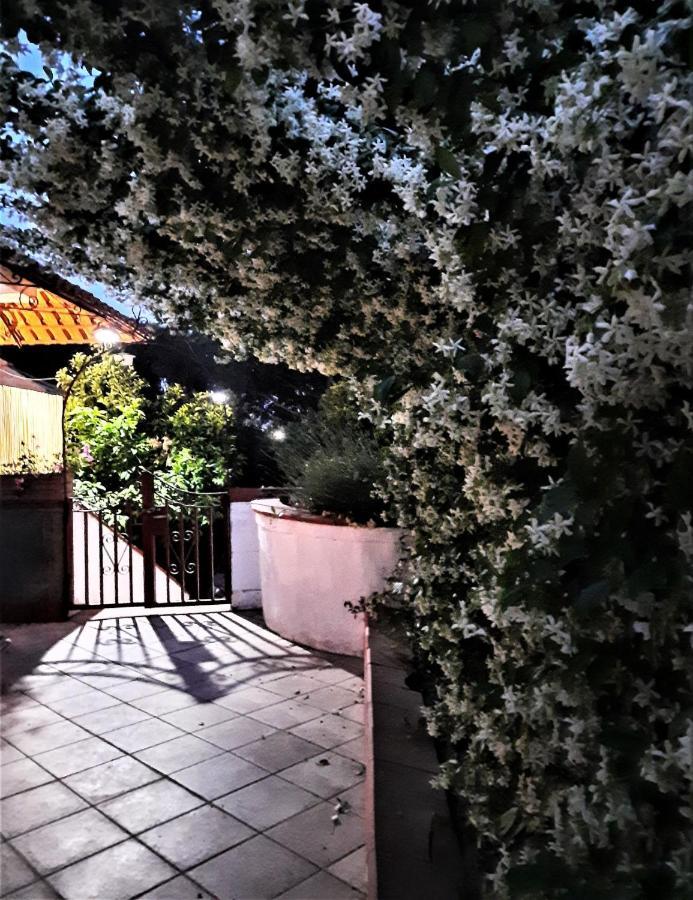B&B Ioli Vesuvio 埃尔科拉诺 外观 照片
