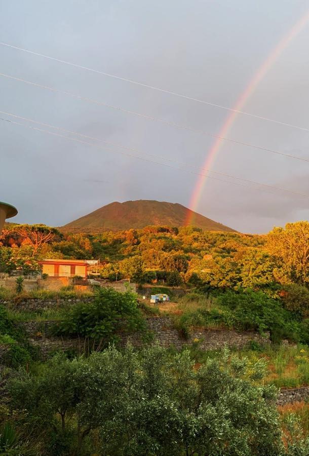 B&B Ioli Vesuvio 埃尔科拉诺 外观 照片