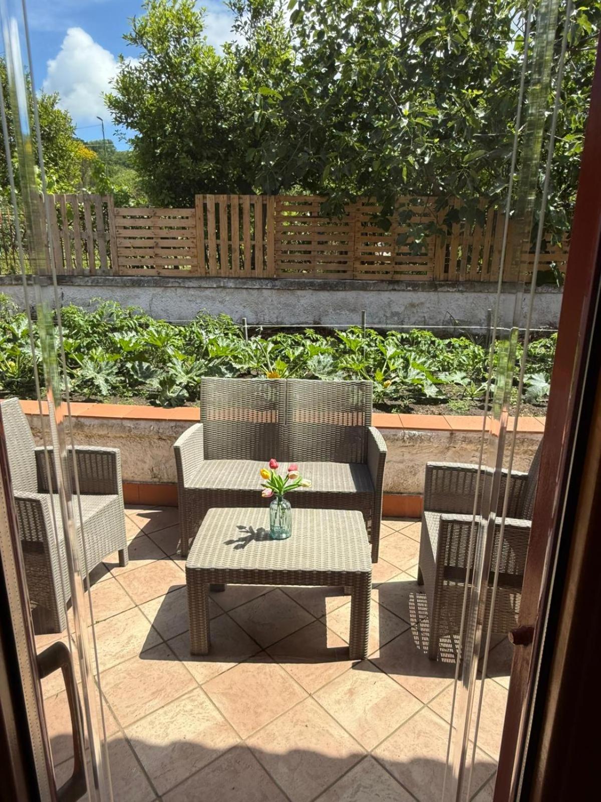 B&B Ioli Vesuvio 埃尔科拉诺 外观 照片